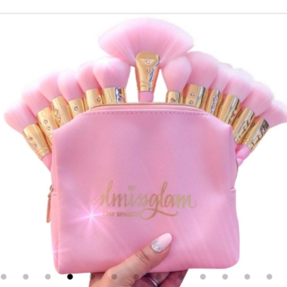 2 brand new slmissglam brushes and 1 brush book